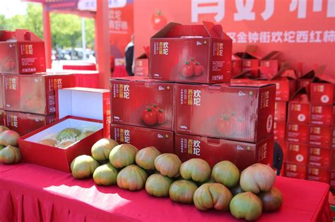 “欢坨有好柿” 等您去采摘-天津东丽网站-媒体融合平台