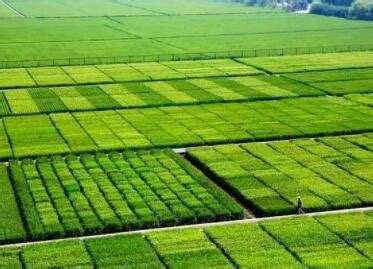 【农业模式杂谈】现代农业，下一个高科技行业！ - 深圳市绿然展业发展有限公司