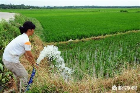 绩溪：抗旱保供 我们在行动-绩溪县人民政府