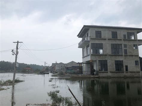 洪湖边被洪水围困的渔村：5700亩鱼塘被淹，划船出门_手机新浪网