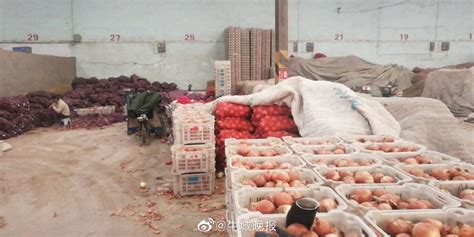 邢台123：别再急着囤蔬菜了！邢州农产品批发市场已开门营业