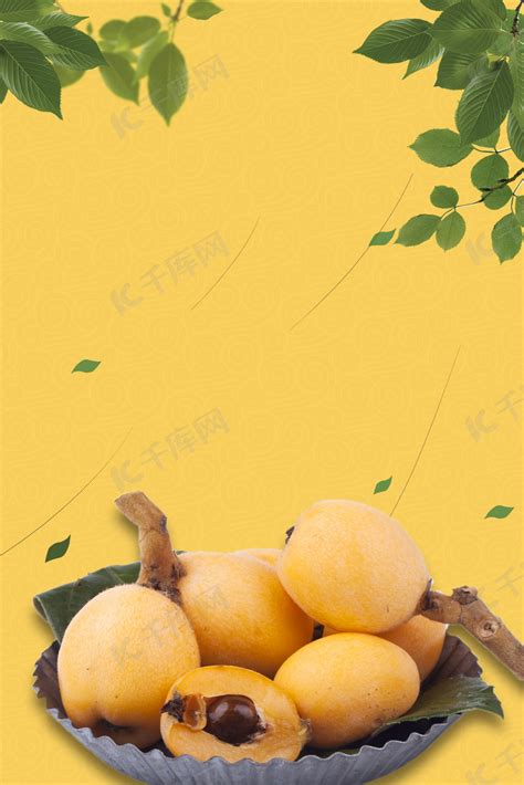 新鲜美味水果枇杷采摘促销海报背景模板背景图片免费下载-千库网
