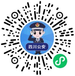 四川公安app下载-四川省公安厅下载v1.0 官网安卓版-绿色资源网