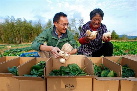 安徽黄山：创新“蔬菜盲盒” 助力乡村振兴-人民图片网