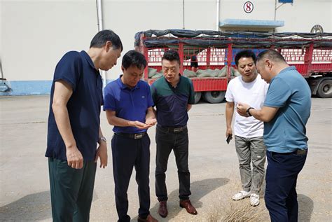 许林副局长调研指导市级储备小麦轮入工作_淮南市粮食和物资储备局