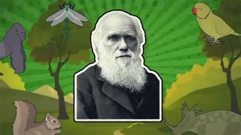 达尔文进化论你了解么