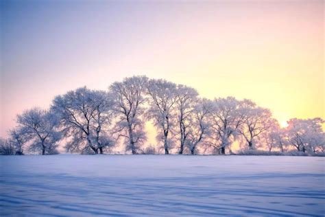 漫天大雪的诗句,古人关于节气大雪的诗 - 日历网