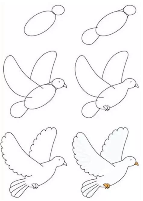 儿童画漂亮的大白鸽简笔画法-露西学画画