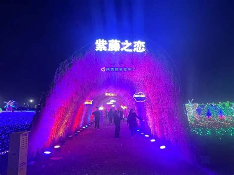 泾河新城：四季花海装扮生态之城 - 西咸光影 - 陕西网