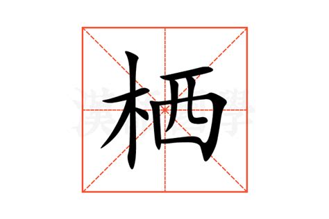 栖的意思,栖的解释,栖的拼音,栖的部首,栖的笔顺-汉语国学