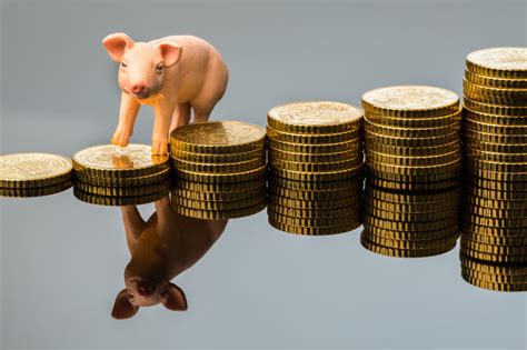 现在生猪价格上涨，是什么因素造成的，在2020年养猪会挣钱吗？__财经头条