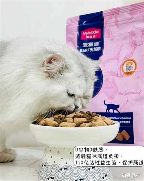 网易严选猫粮怎么样 5.5元/斤 严选宠爱相伴猫粮 流浪猫刚需_什么值得买