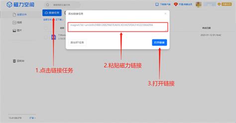 idm如何下载迅雷链接 idm怎么打开迅雷下载链接-IDM中文网站