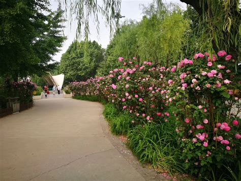2023康庄公园游玩攻略,康庄公园的春夏秋冬都有美景...【去哪儿攻略】