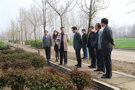 扬州海昌组织开展苗木种植认养活动-员工风采-中国海螺创业控股有限公司