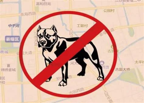 《泰州市犬类管理办法》明起施行！这些地方禁养大型、凶猛类宠物_我苏网