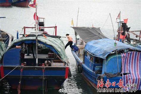 东方八所中心渔港：台风“尼格”来袭 渔船回港避风_八所镇_陈元才_回港