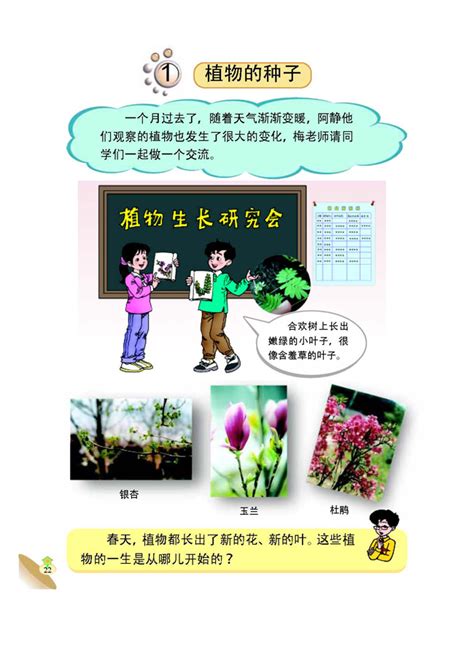 幼儿园植物观察记录表设计图__其他_广告设计_设计图库_昵图网nipic.com