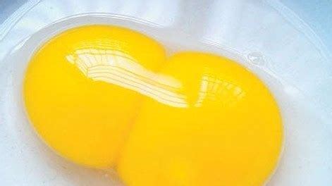 鸡蛋黄越黄越有营养吗_手机新浪网