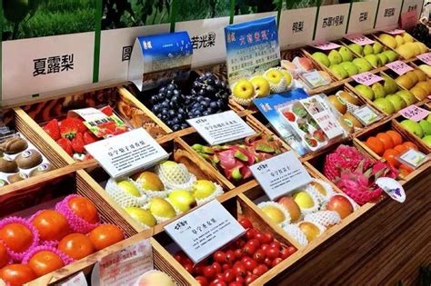盐城1500多种名特优农产品在沪展示_时政_新民网