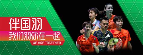 江西首办国际羽毛球比赛 中国（瑞昌）国际羽毛球大师赛精彩开赛 - 中国网