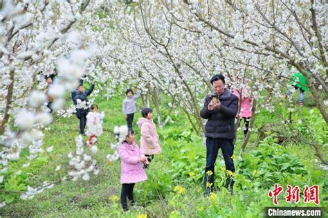 南京：踏青赏花春意浓-人民图片网