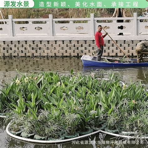 厂家供应人工浮岛漂浮湿地水生植物种植浮床水上浮岛工程安装|价格|厂家|多少钱-全球塑胶网