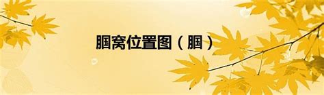 腘窝位置图图片