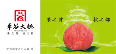 “果之首，桃之都”丨看“国宴桃”区域品牌如何打造？——平谷大桃区域公用品牌整体项目案例_中国食品报社品牌农业战略推进中心