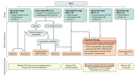 肝细胞癌（HCC)系统治疗—多纳非尼 - 知乎
