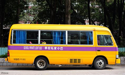 深圳支线巴士图片,深圳巴士,深圳巴士集团_大山谷图库
