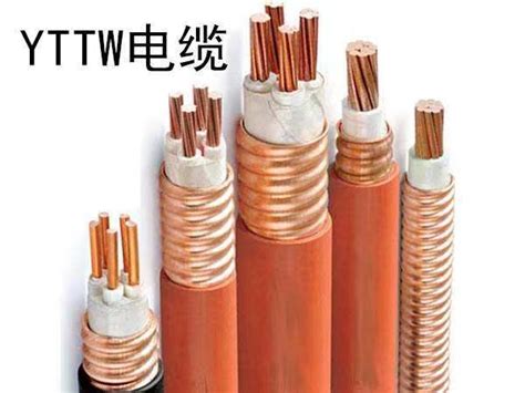 金水电缆：庄严的质量安全承诺-人物与企业-郑州市企业联合会