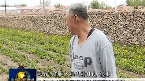 采访农民视频_腾讯视频