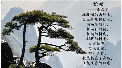 松树十首有名的诗,七绝咏松诗,松树的七言绝句_大山谷图库