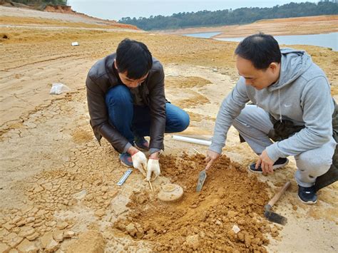 重磅！州桥遗址本体考古发掘工作取得重大进展 - 河南省文化和旅游厅