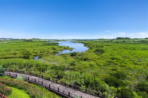 2020华南农业大学湿地公园-旅游攻略-门票-地址-问答-游记点评，广州旅游旅游景点推荐-去哪儿攻略