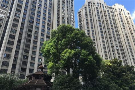 品尊国际公寓,铜川路58弄-上海品尊国际公寓二手房、租房-上海安居客
