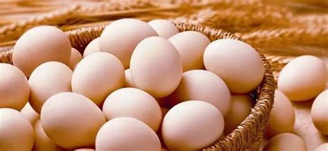 蛋鸡行业即将重新洗牌？2019年蛋价如何走？ (含2018年，全年蛋价回顾)_搜狐汽车_搜狐网