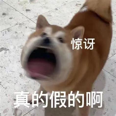 真的假的图片