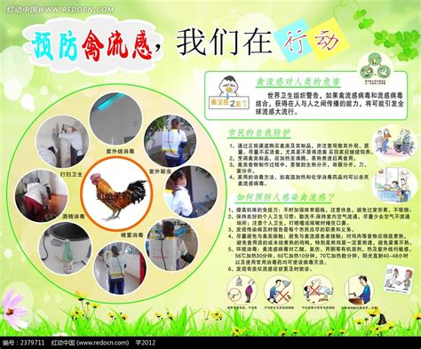 禽流感宣传展板CDR素材免费下载_红动中国
