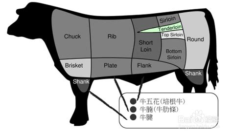 解读牛肉的秘密，这样吃潮汕牛肉火锅，才能吃出家乡的味道！ - 知乎