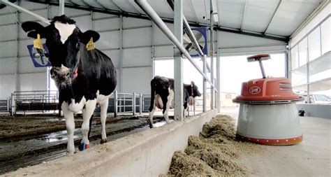 新建牧场7个、奶牛15.2万头……我市奶业振兴跑出“加速度”_包头新闻网_黄河云平台