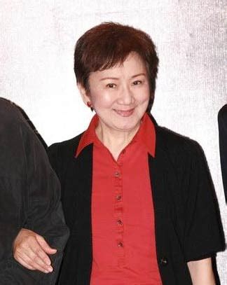 鲍起静是香港演艺界的资深女艺人，戏路广阔。早年于长城电影公司服务，曾演出多部电影及舞台剧。