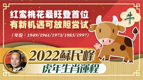 苏民峰2022年属牛人运势_生肖_吉运堂算命网