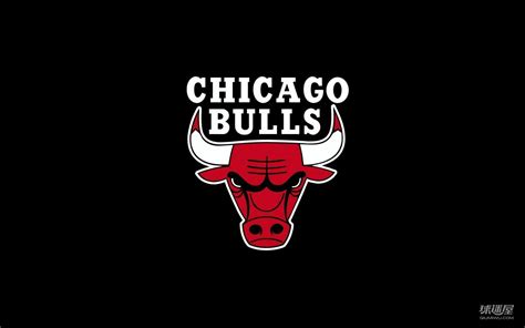 芝加哥公牛队史最强阵容，罗斯公牛队史最强组织后卫罗斯_东方体育