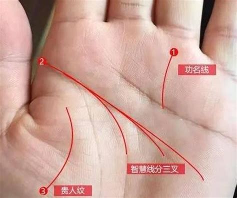 看相算命网_解析手有元宝纹指短掌长的手相（富贵）-风雅颂易学网