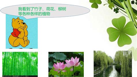 植物手册-屋顶花园植物种类手册以及介绍|平面|书籍/画册|xzj829475 - 原创作品 - 站酷 (ZCOOL)