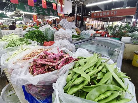 2018-2023年中国菠菜行业市场产销态势分析与投资前景趋势研究报告_观研报告网