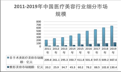 市场分析报告_2021-2027年中国医疗美容市场深度研究与行业前景预测报告_中国产业研究报告网