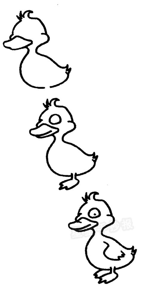 小鸭子卡通头简笔画(小鸭子头简笔画可爱) - 抖兔学习网